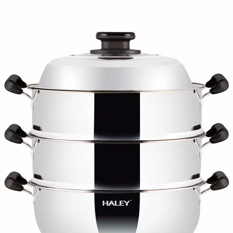 Vas Electric Multifuncțional HALEY HY-501, 2100W, Inox Premium cu Abur pe Două Nivele, Ideal pentru Gătit Sănătos Acasă sau la Hotel