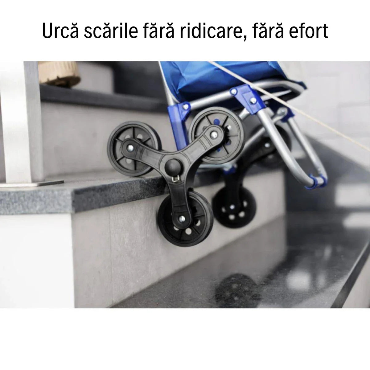 Carucior de piata Grunberg cu 6 roti BF209 Albastru