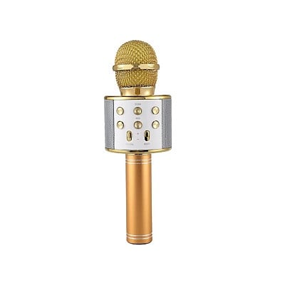MICROFON PROFESIONAL KARAOKE SMART AURIU CU BLUETOOTH