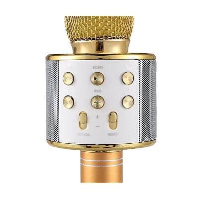 MICROFON PROFESIONAL KARAOKE SMART AURIU CU BLUETOOTH