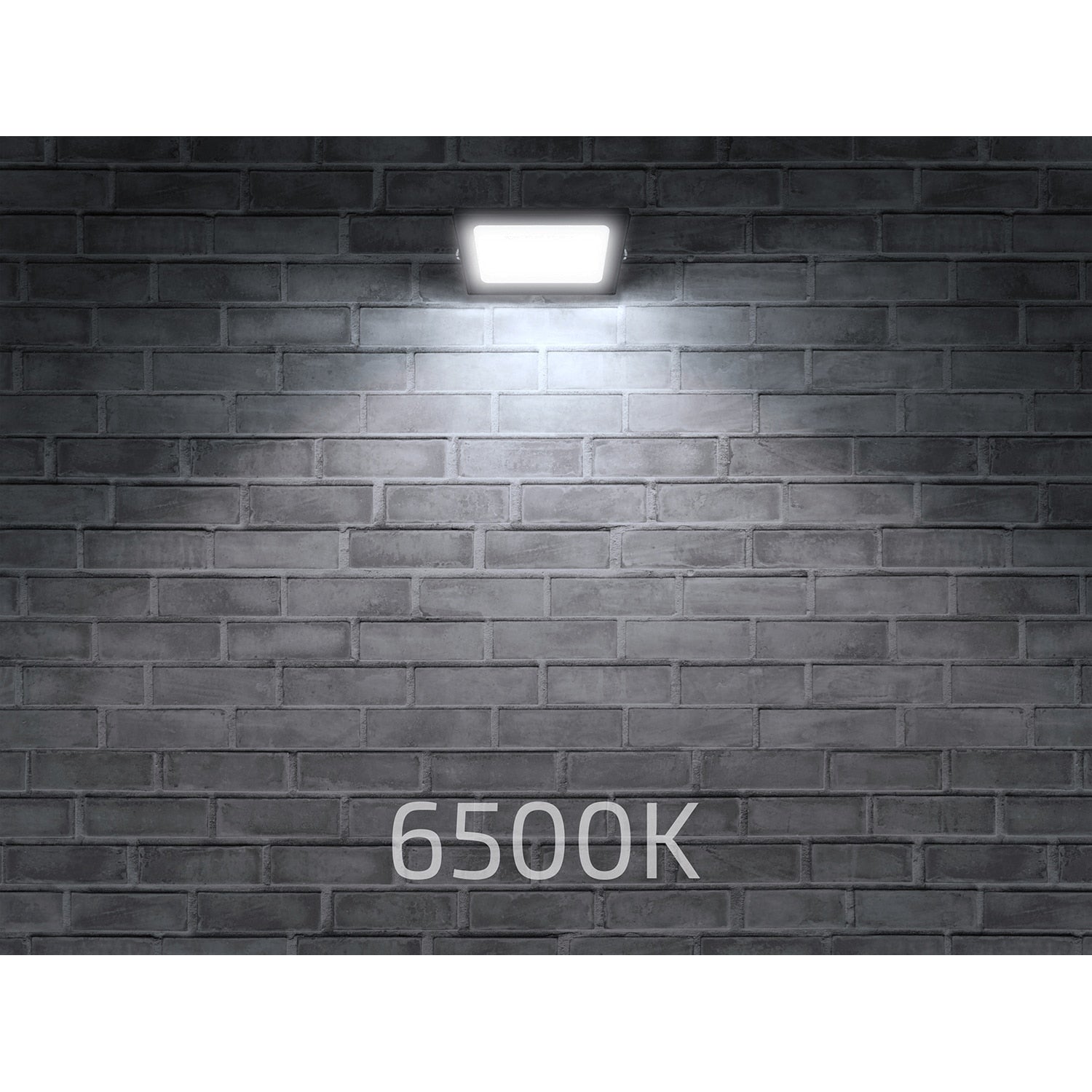 Proiector cu LED, halogen Tiga 50W, negru, alb rece (6500K)