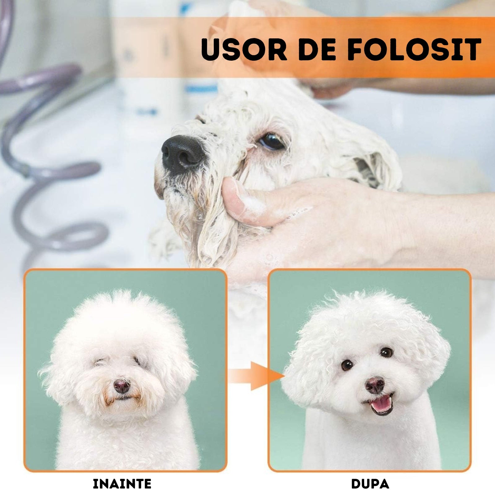 Perie Electrica 2 in 1 pentru Animale Infiniteea™, Descurcare si Uscare Par, Caini si Pisici, Zgomot Redus, Potrivita pentru Toate Taliile, Reduce Naparlirea, Usor de Utilizat, 300w, 2 Trepte de Temperatura, Alb