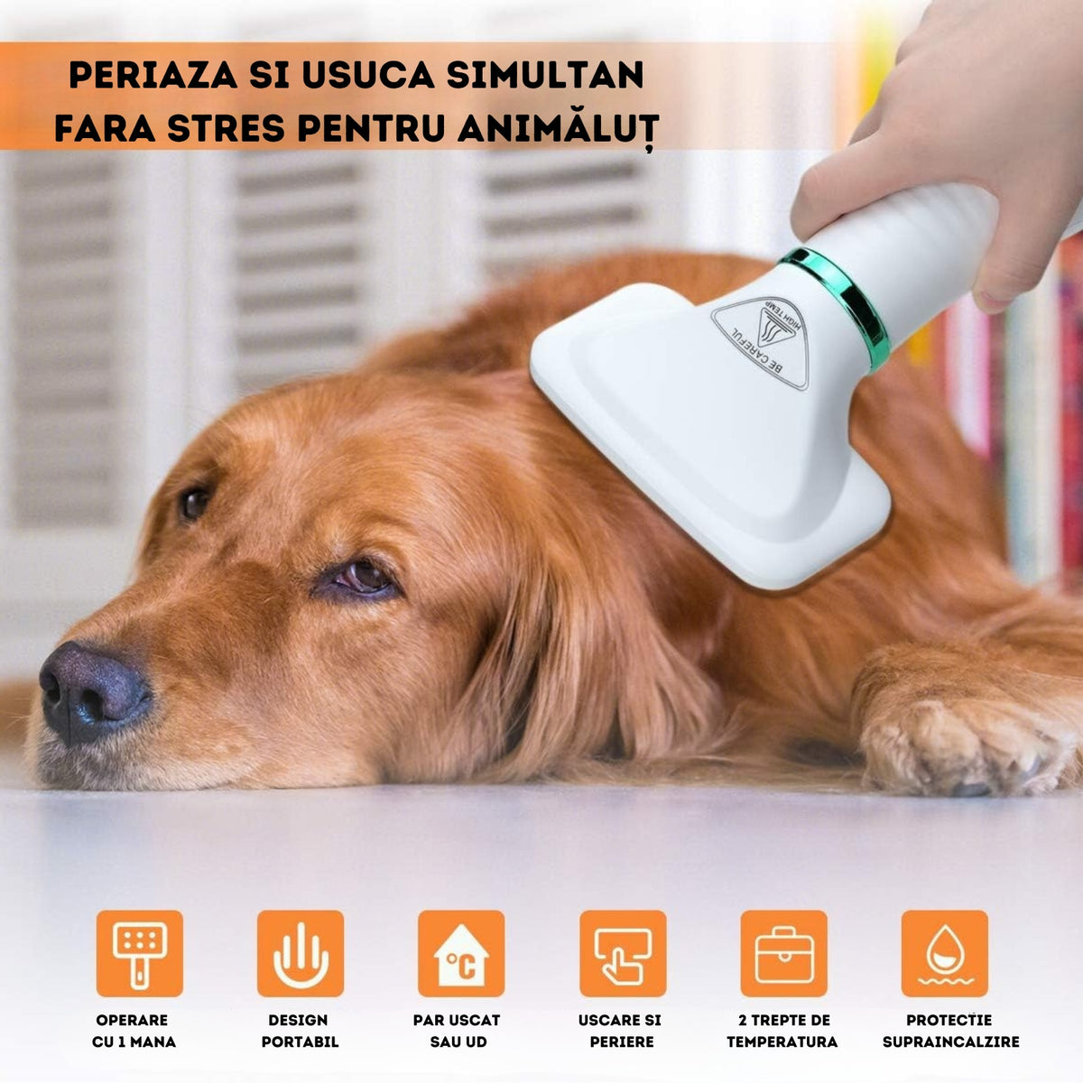 Perie Electrica 2 in 1 pentru Animale Infiniteea™, Descurcare si Uscare Par, Caini si Pisici, Zgomot Redus, Potrivita pentru Toate Taliile, Reduce Naparlirea, Usor de Utilizat, 300w, 2 Trepte de Temperatura, Alb