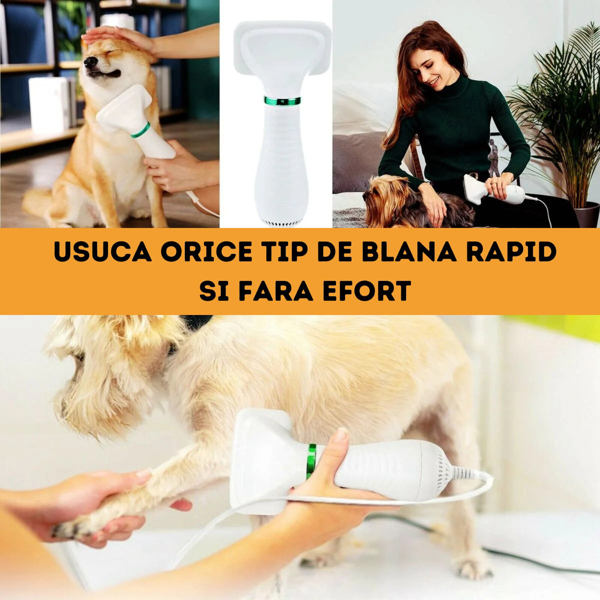 Perie Electrica 2 in 1 pentru Animale Infiniteea™, Descurcare si Uscare Par, Caini si Pisici, Zgomot Redus, Potrivita pentru Toate Taliile, Reduce Naparlirea, Usor de Utilizat, 300w, 2 Trepte de Temperatura, Alb